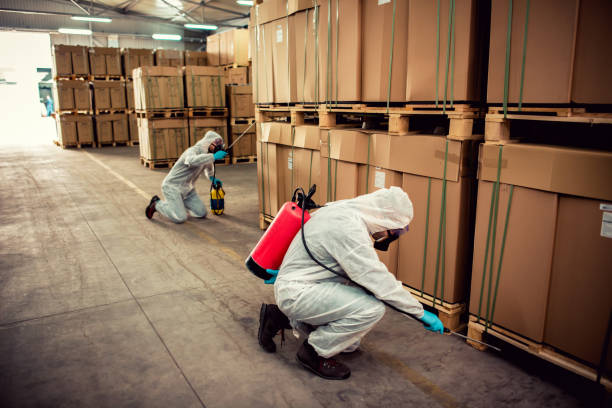 Best Affordable Pest Control Services  in Mills, WY