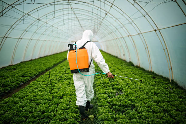 Best Affordable Pest Control Services  in Mills, WY