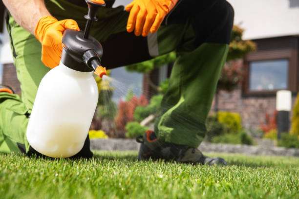 Best Cockroach Control Services  in Mills, WY