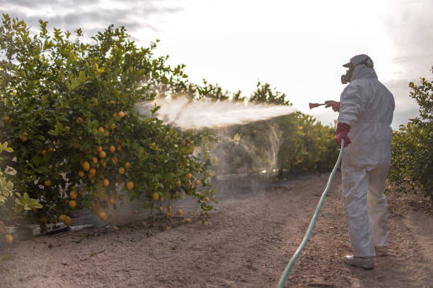 Best Exterminator Services  in Mills, WY