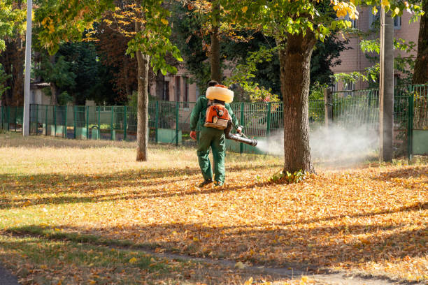 Best Affordable Pest Control Services  in Mills, WY