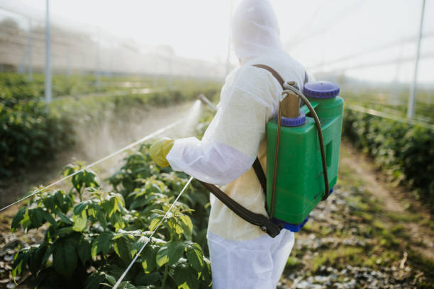 Best Wildlife Control Services  in Mills, WY